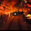 叡山電鉄の<span>紅葉トンネル</span>はライトアップ必見！見頃と混雑でも乗りたい車両